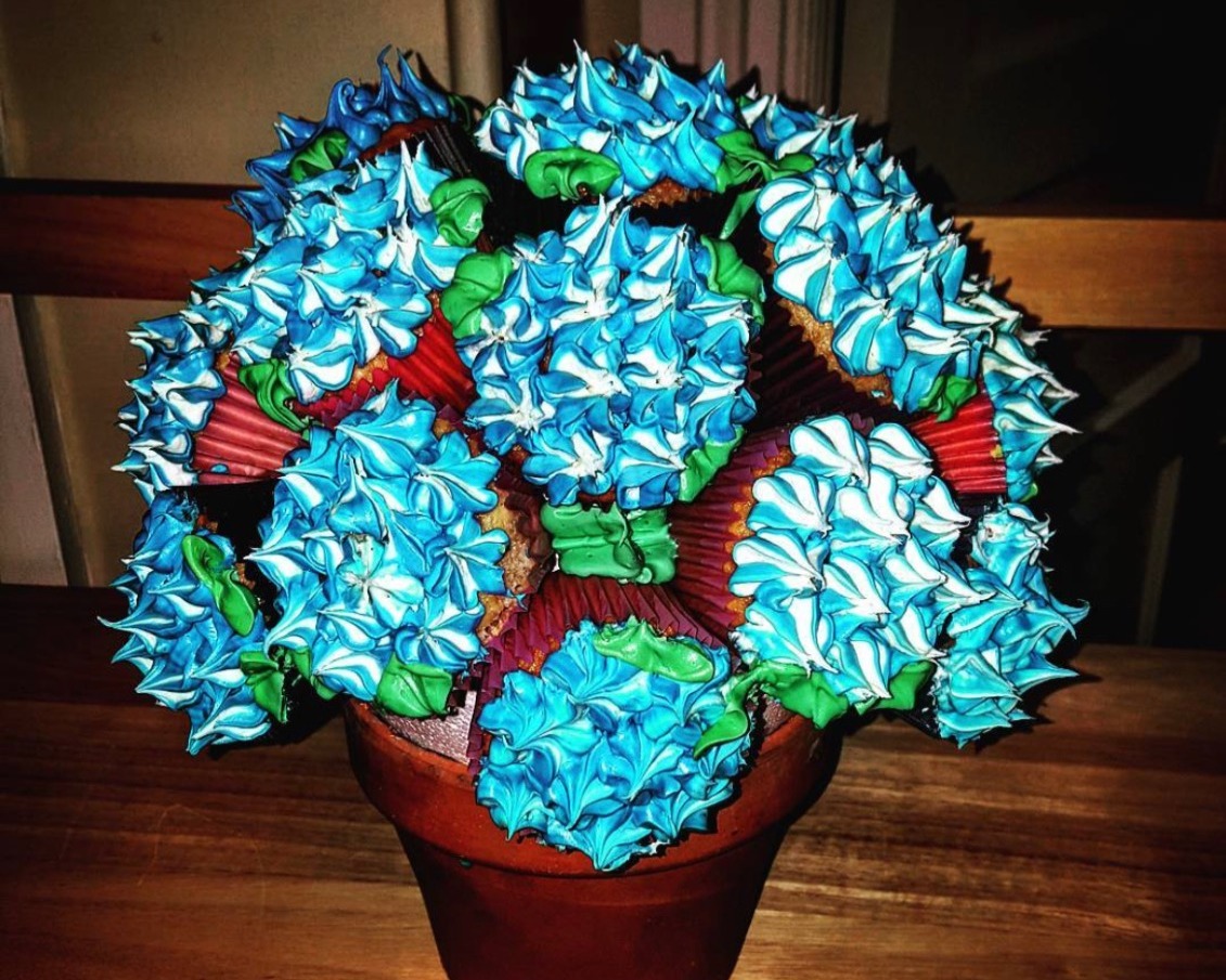 Rachel Druckenmiller